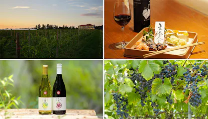 ワイン愛好家なら1度は訪れたい、ワインを堪能する滞在が叶う宿6選