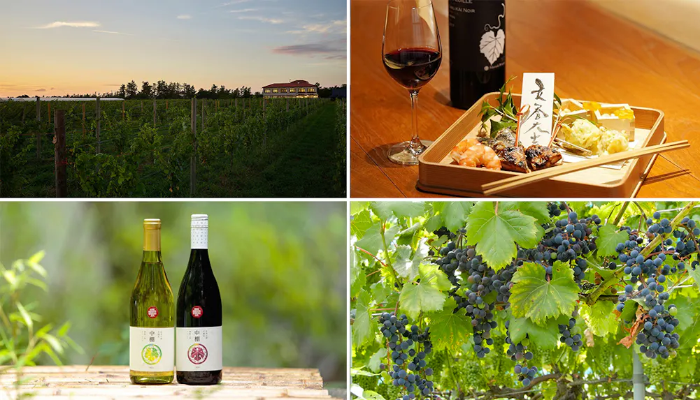 ワイン愛好家なら1度は訪れたい、ワインを堪能する滞在が叶う宿6選