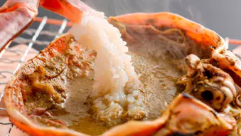 冬の味覚、カニ料理が自慢の露天・半露天風呂付客室で掛け流し温泉が楽しめる宿5選