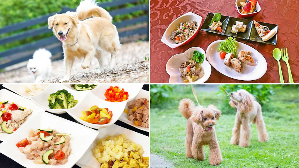 【全国版】愛犬用のメニューも！ペットと一緒に食事ができるおすすめの温泉宿