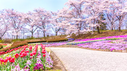 春のお出かけにもおすすめ！花の名所に近い宿　東日本編