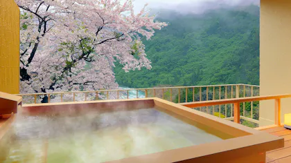 露天・半露天風呂付客室でお花見が楽しめる宿5選