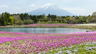【全国版】春のお出かけにもおすすめ！花の名所に近い宿
