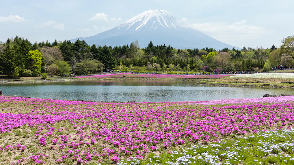【全国版】春のお出かけにもおすすめ！花の名所に近い宿