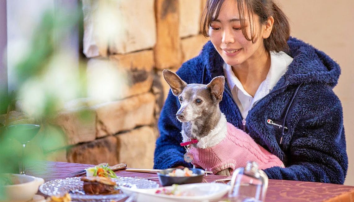 ペット 旅館 部屋食 ストア