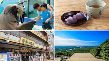 伊勢志摩観光のプロに聞いた！伊勢・志摩・鳥羽エリアのおすすめ観光情報