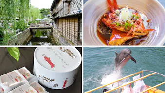 下田観光のプロに聞いた！伊豆・下田のおすすめ観光情報