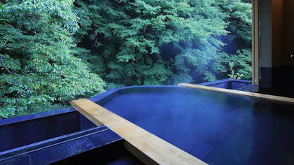 東京から約2時間、露天・半露天風呂付客室で源泉掛け流しの湯を堪能できる美食宿