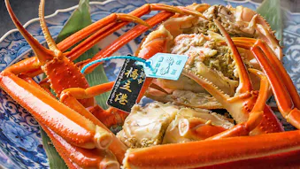 【カニ・ふぐ・ブランド和牛】冬の贅沢旅におすすめしたい、美食自慢の温泉宿6選