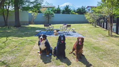 富士山を望むペットと一緒に泊まれる宿5選
