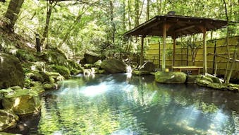 一度は泊まりたい、秘湯の温泉宿　関東編