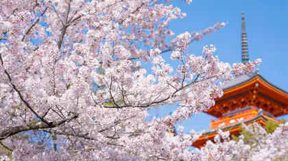 桜の名所と併せて行きたい、2023年にオープンした京都の宿