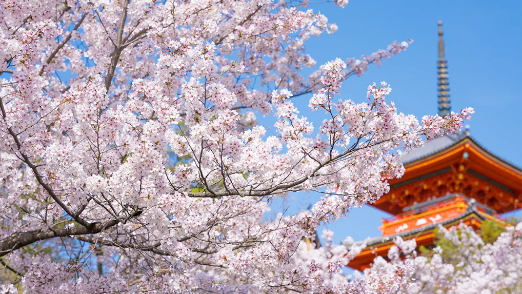 桜の名所と併せて行きたい、2023年にオープンした京都の宿