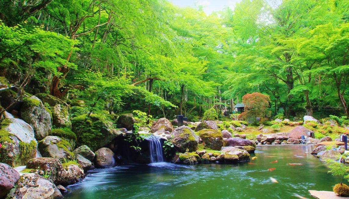 母娘旅におすすめ！敷地内でゆっくり庭園散策を楽しめる伊豆の温泉宿5