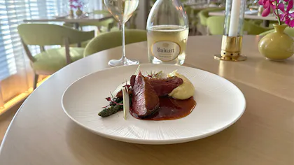 銀座「Sophie at EDITION」で満喫！緑を基調とした洗練された空間で味わう、旬食材にこだわるフランス料理