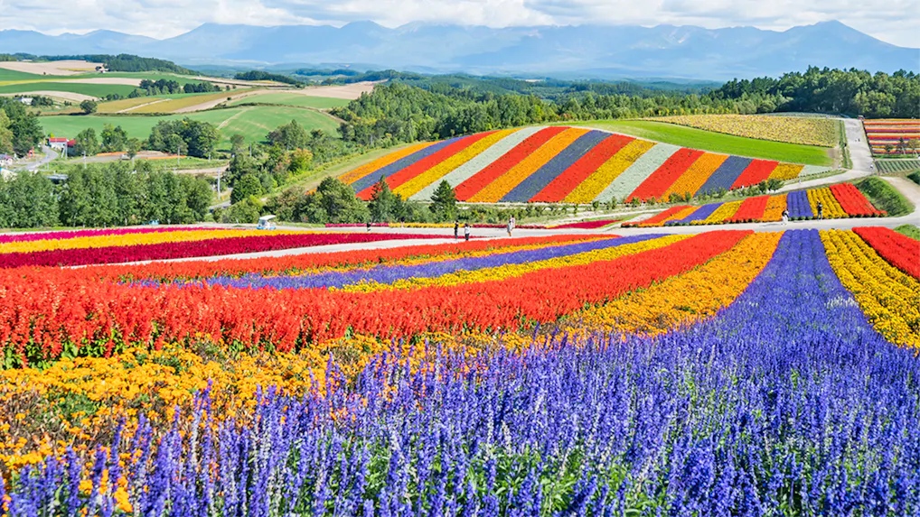 夏旅で行きたい！北海道の花の名所に近い宿5選