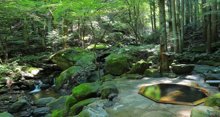 土湯別邸 里の湯