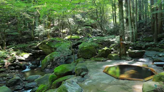 福島・土湯温泉に佇む全9室の隠れ宿で、豊かな自然を傍らに源泉掛け流しの湯を満喫