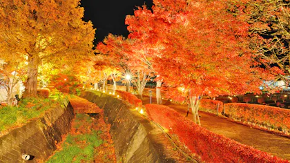 【紅葉・読書・アート】秋旅で行きたい！おすすめの宿特集