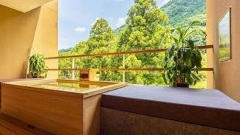 【箱根・熱海・伊豆】源泉掛け流し露天風呂付客室がある大人限定の宿6選