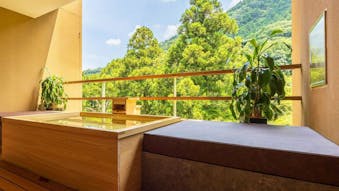 【箱根・熱海・伊豆】源泉掛け流し露天風呂付客室がある大人限定の宿6選