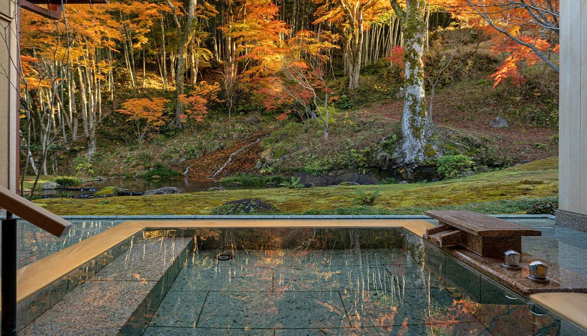 ▼▼希少 日本の宿紀行　日本の宿を守る会　平成17年　温泉　風呂　ガイド　②y ▽▽希少 日本の宿紀行 日本の宿を守る会 平成17年 温泉 風呂