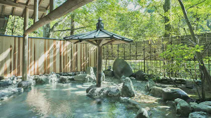 美肌の湯を源泉掛け流しで楽しめる宿　伊豆編