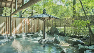 美肌の湯を源泉掛け流しで楽しめる宿　伊豆編