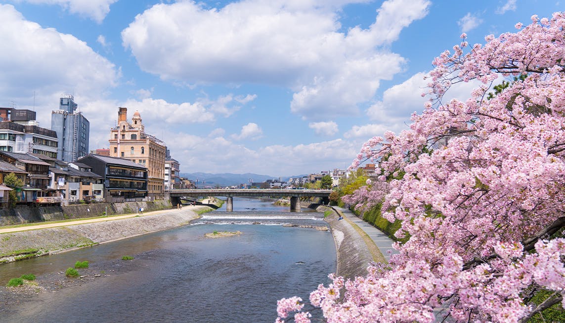 春の京都旅で行きたい！桜の名所近くにある、露天風呂付客室が