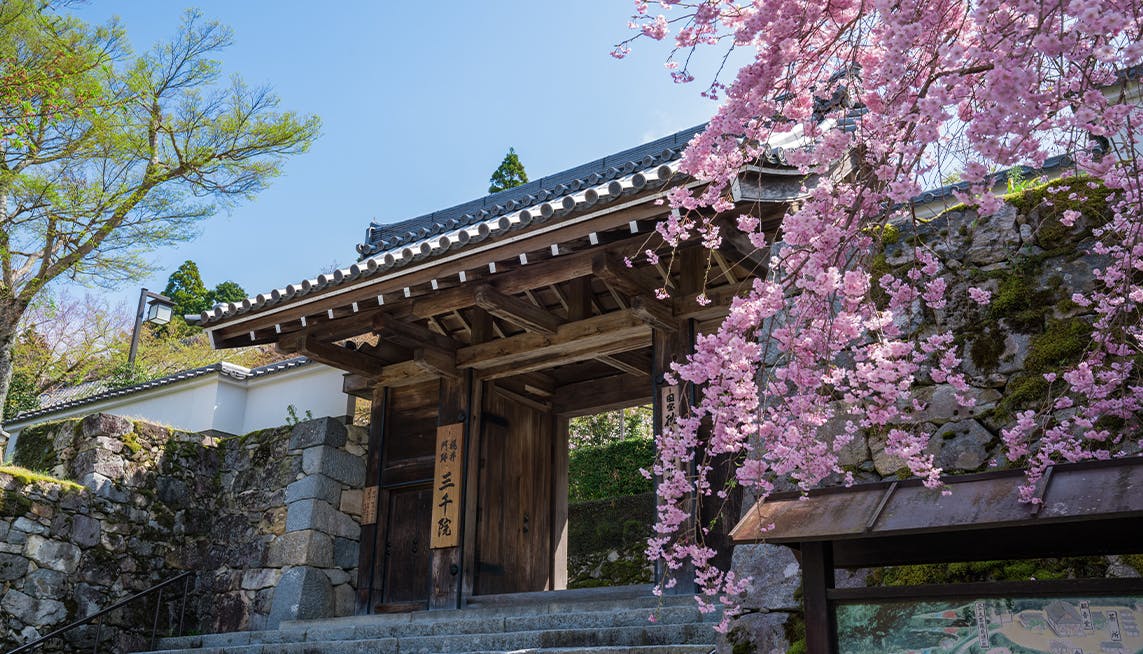 春の京都旅で行きたい！桜の名所近くにある、露天風呂付客室が