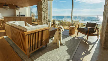 【ニュース】2025年2月に新規開業した、注目旅館・バケーションレンタル6選