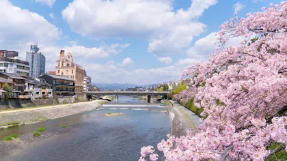 春の京都旅で行きたい！桜の名所近くにある、露天風呂付客室がある温泉宿5選
