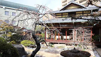 【取材】道後温泉に佇む全6室の老舗旅館「道後温泉　旅亭　うめ乃や」で、しっぽりと名湯を楽しむひととき