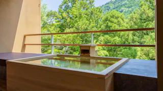 新緑の季節に行きたい、温泉露天風呂付客室がある宿　箱根編
