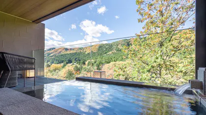 露天・半露天風呂付客室がおすすめの日光・鬼怒川の宿