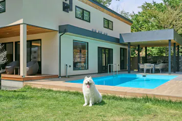 ペットと泊まれる、山梨のおすすめ宿